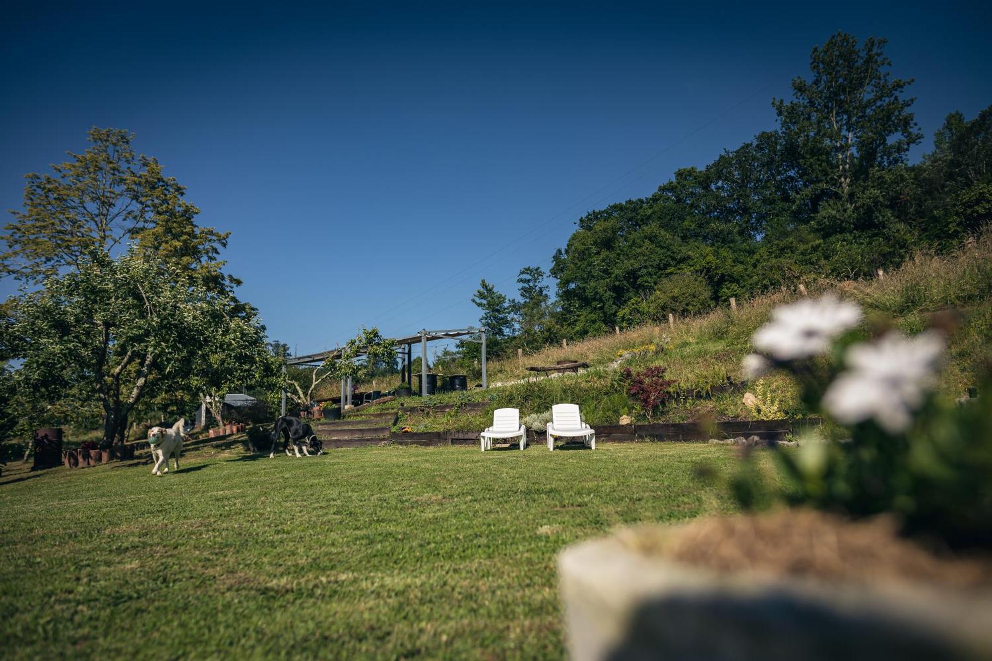 Finca La Naguada Casa Rural En Asturias Beloncio Buitenkant foto