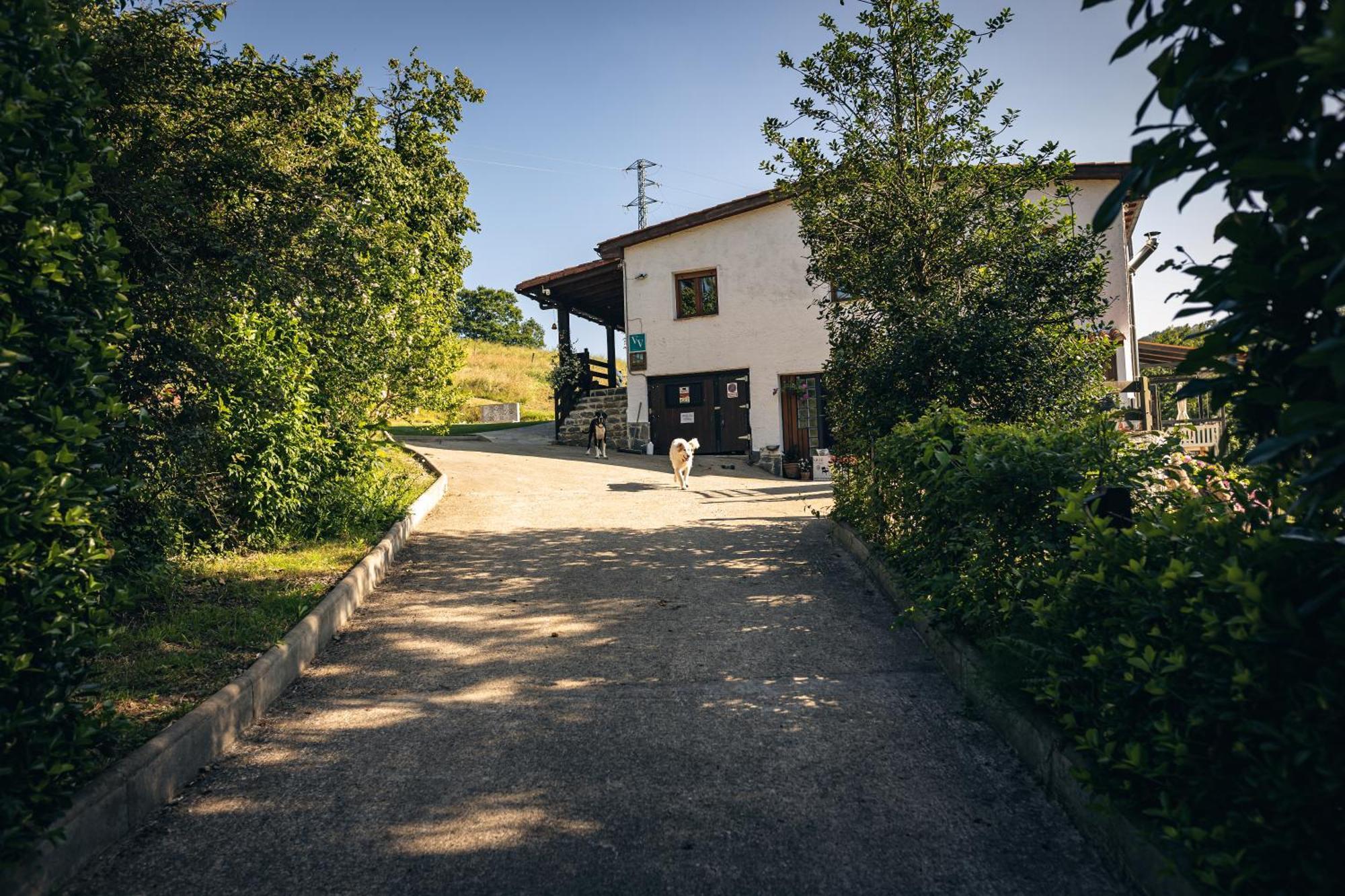 Finca La Naguada Casa Rural En Asturias Beloncio Buitenkant foto
