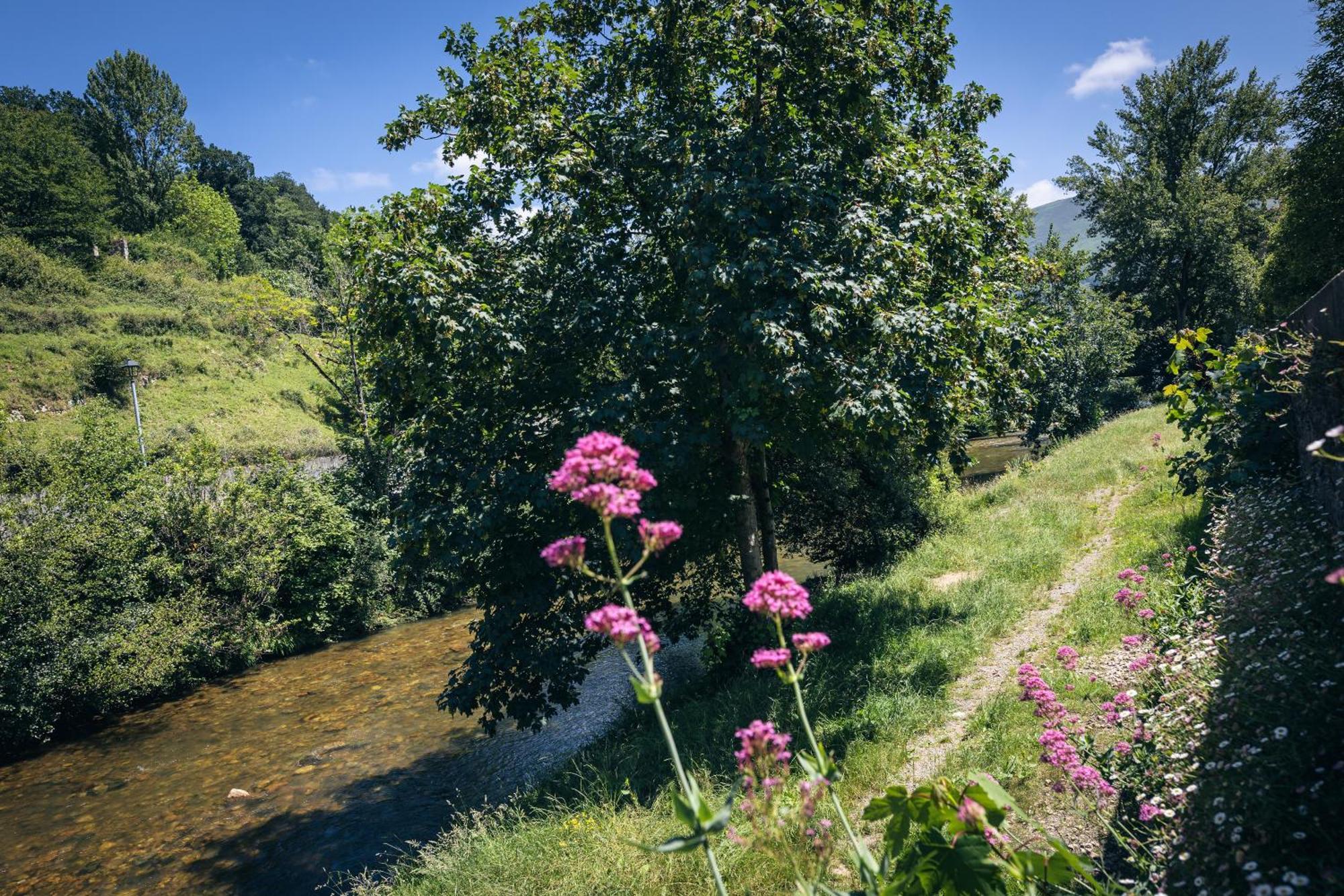 Finca La Naguada Casa Rural En Asturias Beloncio Buitenkant foto